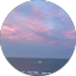 Profile photo of Jamie Plecker