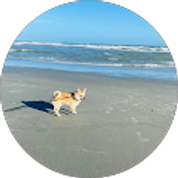 Profile photo of Patrick Cochran