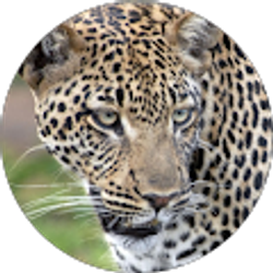 Profile photo of Mara Weisenberger