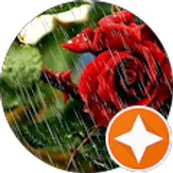 Profile photo of Karla J Martin