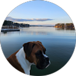 Profile photo of Michele Hunter