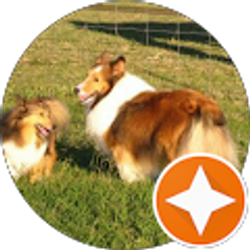 Profile photo of Jarrett Crawford