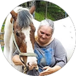 Profile photo of Mystic Dragon