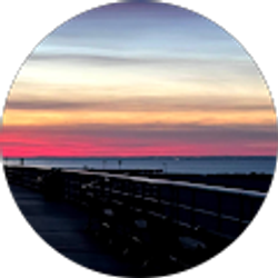 Profile photo of Alicia Villa