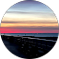 Profile photo of Alicia Villa