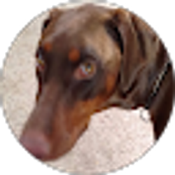 Profile photo of Toni Hansen