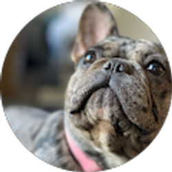 Profile photo of Katy Higley