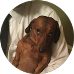 Profile photo of Colton Alan Daniels