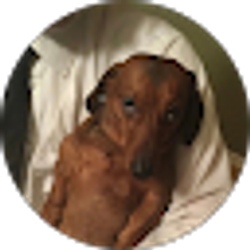 Profile photo of Colton Alan Daniels