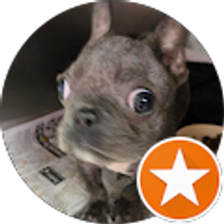 Profile photo of Aaron Smith