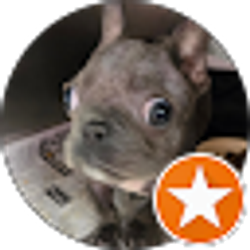 Profile photo of Aaron Smith