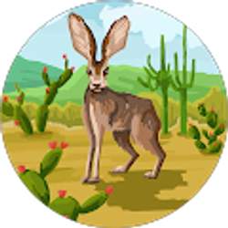 Profile photo of Rhonda McMaster