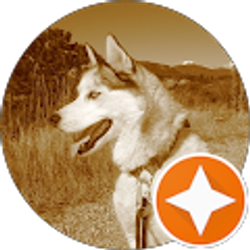 Profile photo of Taylor Nye