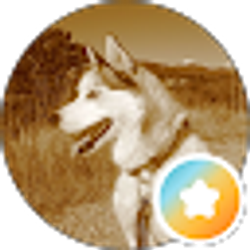 Profile photo of Taylor Nye