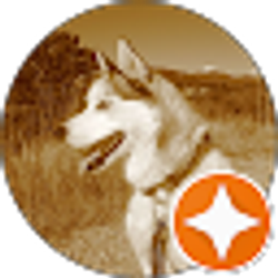 Profile photo of Taylor Nye