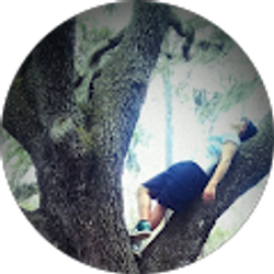 Profile photo of Shane Matthews