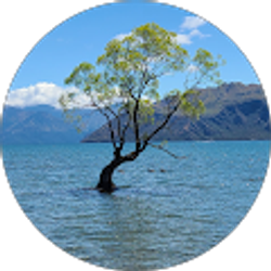 Profile photo of Alisa Tanner