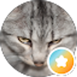 Profile photo of j b