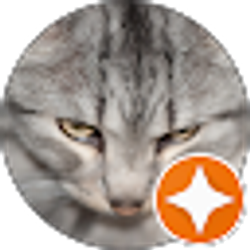 Profile photo of j b