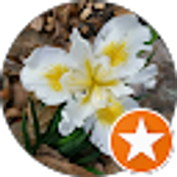 Profile photo of Timmee Robertson