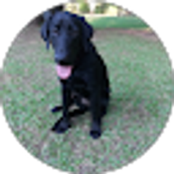 Profile photo of Sam Roring