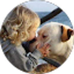 Profile photo of Tracey A