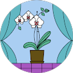 Profile photo of Connie Massey