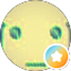 Profile photo of Youtube Trucker