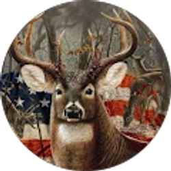 Profile photo of Brian DeForrest