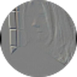 Profile photo of Mary Wheat