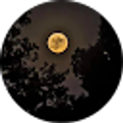 Profile photo of Debi Reynolds