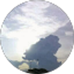Profile photo of Enrique Ochoa