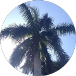 Profile photo of Jordan toler