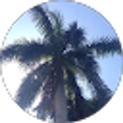 Profile photo of Jordan toler