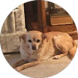 Profile photo of Jennifer Diaz