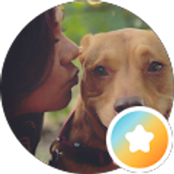 Profile photo of Jodi Waggoner