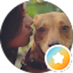 Profile photo of Jodi Waggoner