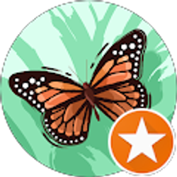 Profile photo of Jamie Scott