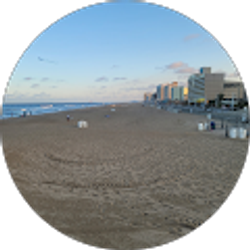 Profile photo of L Young