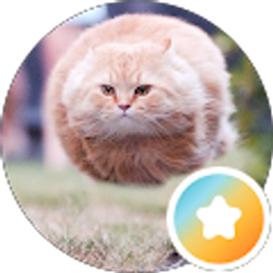 Profile photo of curtis martin