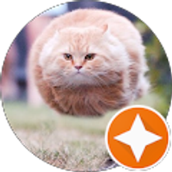 Profile photo of curtis martin