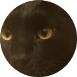 Profile photo of Suraj Buddhu