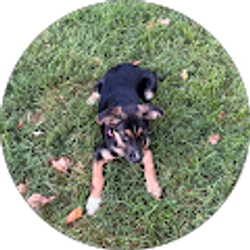 Profile photo of paxton s