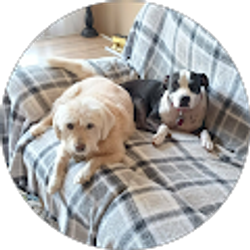 Profile photo of Aileen