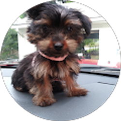 Profile photo of cheryl green