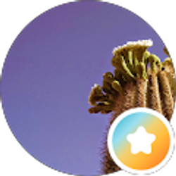 Profile photo of Ryan VanWoerkom