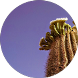 Profile photo of Ryan VanWoerkom