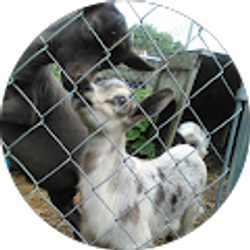 Profile photo of Amber Walker