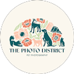 Profile photo of The Photo District