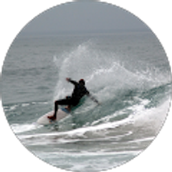 Profile photo of Linden Broccoli